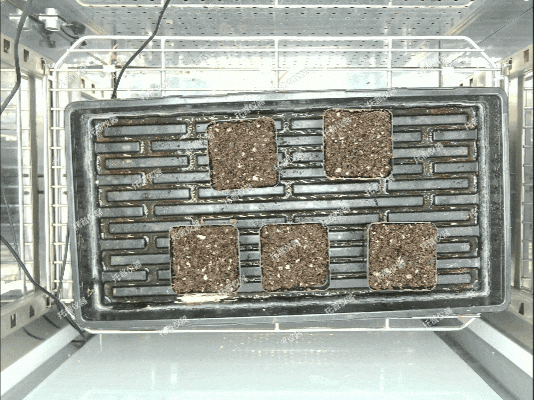 1779254632821692.gif fdd69cb0aa89770c0c362266e1bdcc44_640.gif